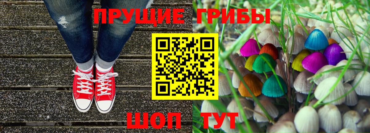 Псилоцибиновые грибы Psilocybine cubensis  Вход с VPN  Кировск 