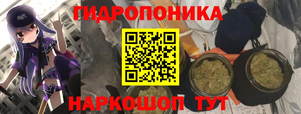 Кировск  Бошки марихуана AK-47  Вход с VPN  Шишки марихуана THC 21%  Шишки марихуана семена  Марихуана ГИДРОПОН 
